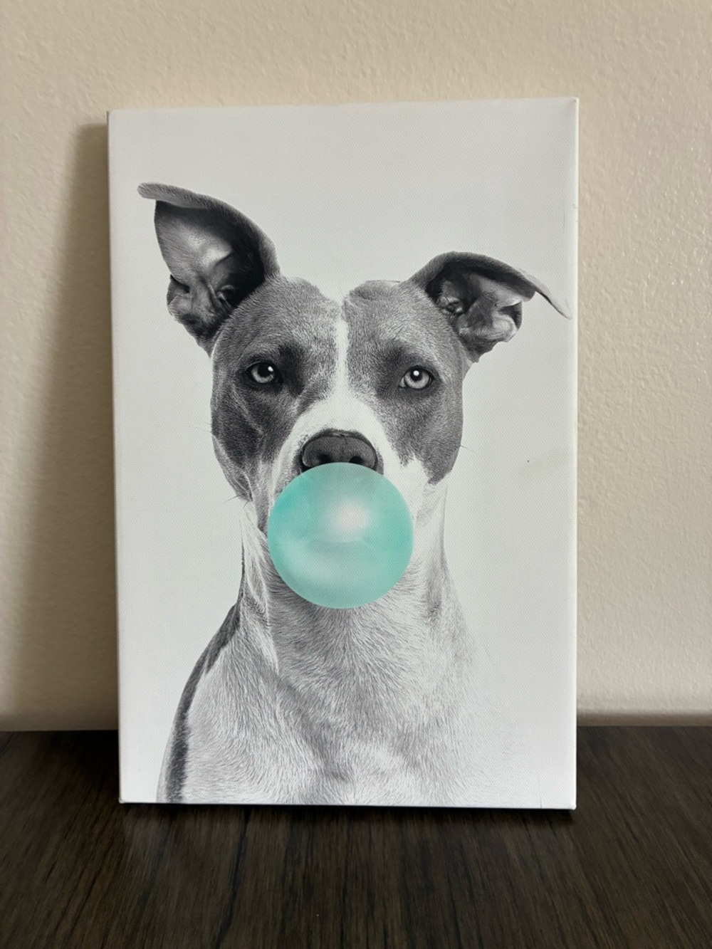 Modern Dog pit bull Bubblegum Animals SINGLE CANVAS WALL ART Picture Print